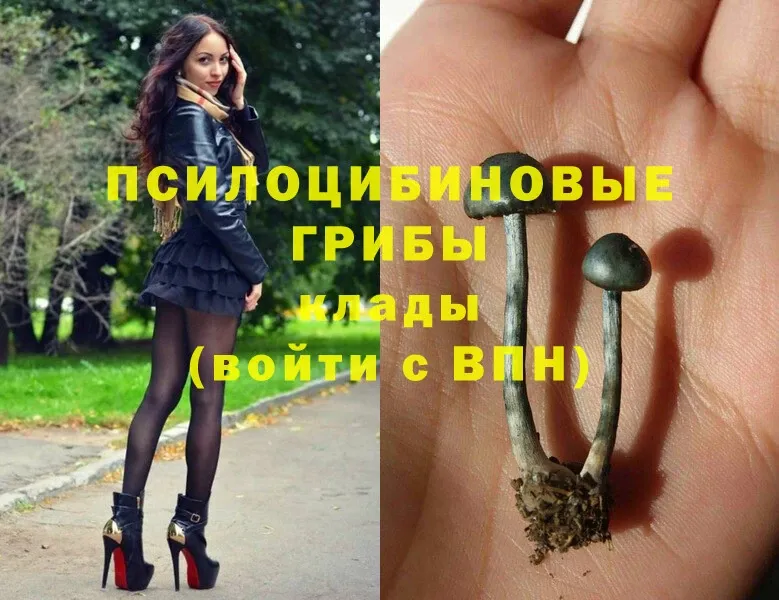 Галлюциногенные грибы Magic Shrooms  Владимир 