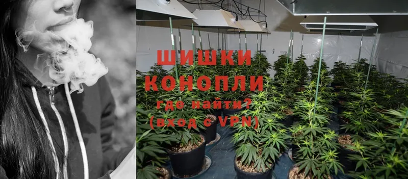 МАРИХУАНА OG Kush  Владимир 